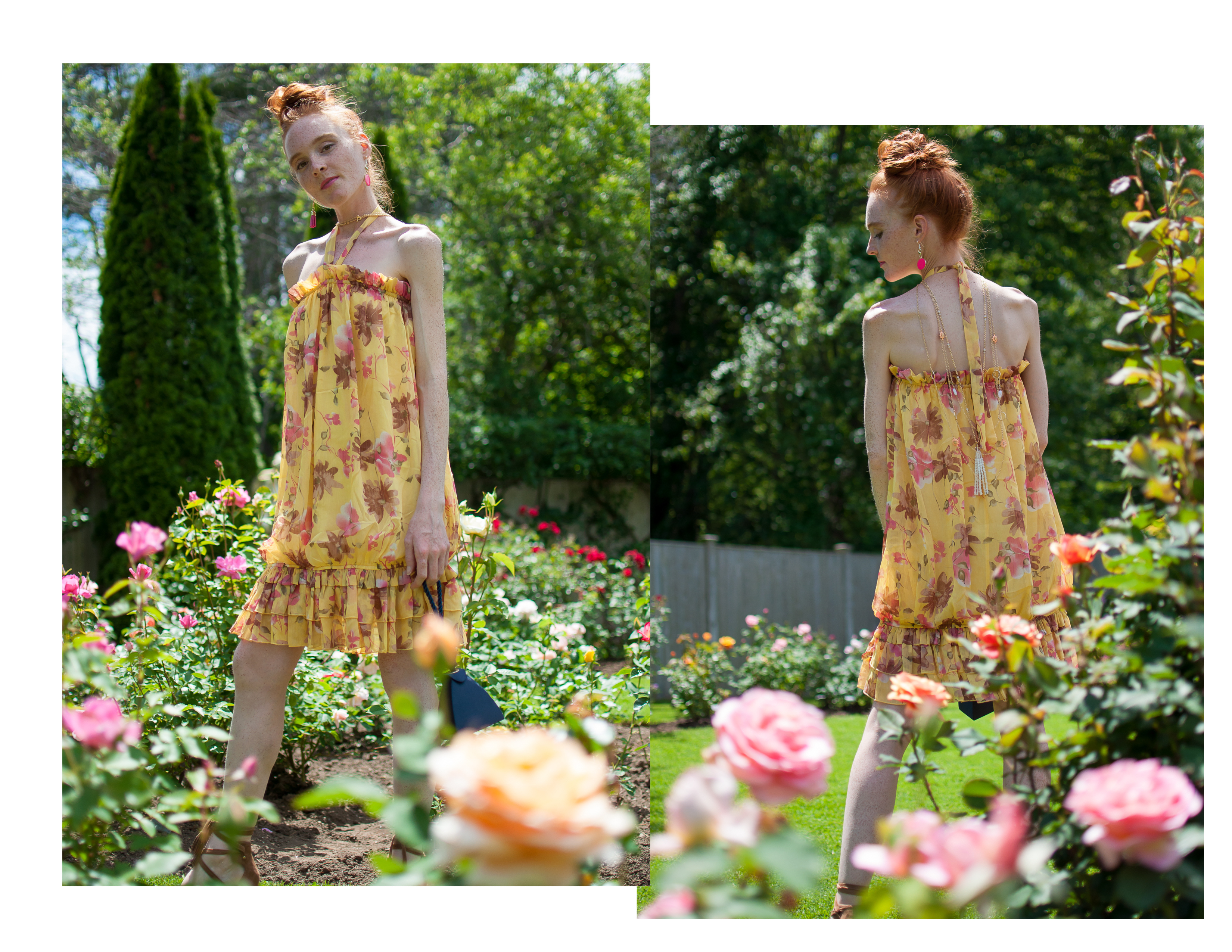 yellow bubble dress in the roses at Fuller Gardens 